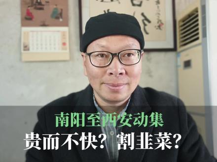 南阳至西安动集列车贵而不快,真的是割韭菜吗 宁西铁路临时加开西安至南阳动集列车,与普速列车差不多时间 差不多车速,被指割韭菜,事实真的这样吗?一个视频看懂!#南阳