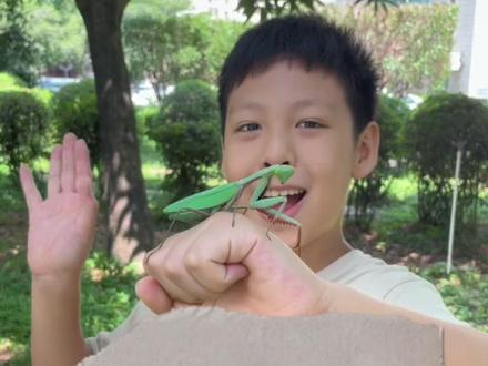 恐惧源自于未知,当你真正的了解了它们,就会发现,那些根深蒂固的恐惧其实都来自错误的理念。希望大家一起正确对待它们哦#欢迎光临我的生活 #昆虫 #抖音自然动物图鉴 @昆虫喵老师