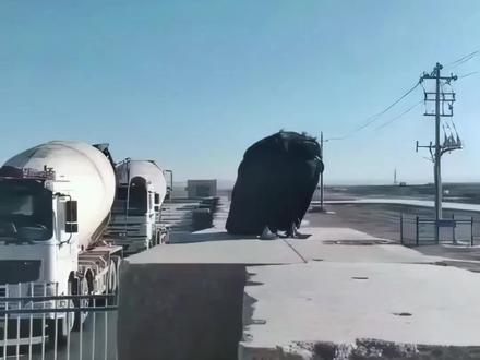 离谱!这些看似真实的画面,其实全是AI做的#AI #科普