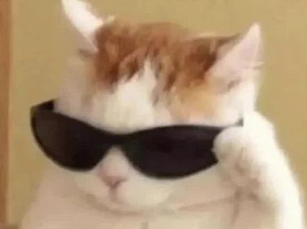 荣耀新系列还是很顶,打破了我对荣耀这个品牌的看法#荣耀win #拍机堂 #新机