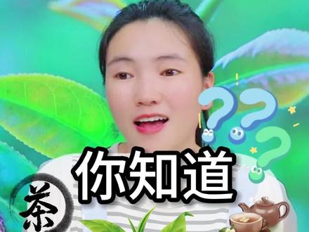 金观音是一款什么茶,你有喝过吗?香气高扬浓郁,茶汤入口清甜。确定不来看看吗#爱喝茶的关注我 #今天你喝茶了吗 #召唤茶友 #安溪铁观音 @茶嫂当家(源头好货)