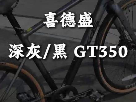 gt350,是你的川藏神车吗? #喜德盛 #瓜车 #自行车