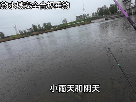 暮春钓早口总空手归?摸透温度与鱼口规律,连竿的秘密都在这里 暮春同钓早口为啥别人连竿你空军?掌握温度鱼口规律,鱼获自然来#钓鱼 #野钓 #温度 #早口 #原来钓鱼才是抖音运动顶流