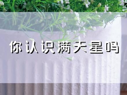 你认识满天星吗?满天星花语:满天星辰不及你#有一种花叫满天星#我的花花草草🌸🌸 #花卉绿植 #一花一草一世界