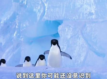 42_128_科学家惊人发现,马里亚纳海沟深处海水竟然倒流!#科普 #带你看世界 #视觉震撼
