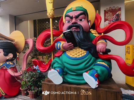 大疆2026新年限定水印! #大疆 #大疆无人机 #大疆action6 #新年2026 #元旦