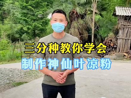 经过200多次的反复制作实验,今天把制作神仙叶凉粉的经验和技术分享给大家,在家就可以吃到纯天然的绿色食品#神仙叶凉粉制作 #来抖音学农技 #乡村守护人 #农村生活 #新农人计划2022 #非物质文化遗产手工制作