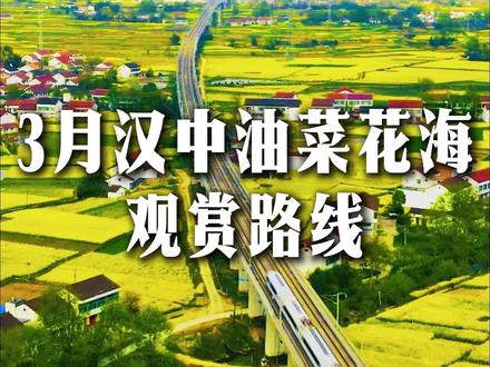 两汉三国,最美汉中,3月油菜花海观赏路线 #汉中 #汉中油菜花 #油菜花 #两汉三国真美汉中