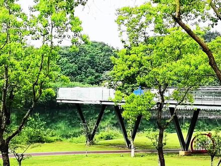 在安徽石台天路偶遇画坑村画溪里民宿老板