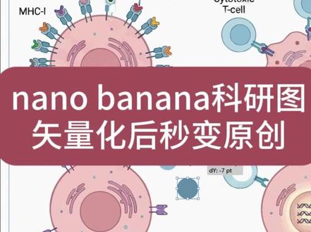 banana2科研图矢量化后秒变原创(详细教程) #科研绘图 #生物医学科研 #人类高质量科研工具 #banana2 #Gemini3