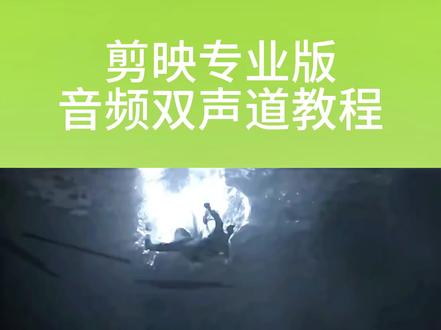 剪映专业版音频双声道教程#剪映 #教程