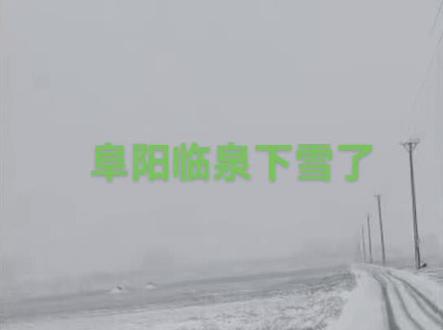 大临泉一夜之间变冷了!#家乡雪景 #你哪里下雪了吗