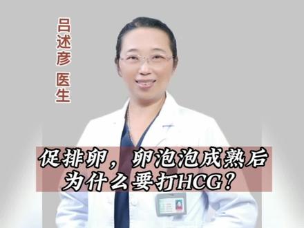 促排卵,卵泡成熟后,为什么要打HCG?#不孕#促排卵