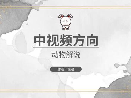 中视频冷门赛道玩法,动物解说。#项目 #干货 #运营 #中视频计划 #中视频 #中视频伙伴计划 #创作者扶持计划 #解说