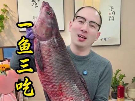 吃鱼吃鱼,年年有余,一条鱼做出三道菜。一米多的大青鱼,祝福大家新年快乐,年年有余!#美食制作 #鱼的花式做法 #美食达人 #好大一条鱼