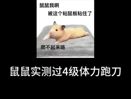 为什么不升体力!体力等级特别重要! #三角洲行动 #三角洲部门任务 #三角洲体力 #三角洲跑刀 #三角洲新手教学