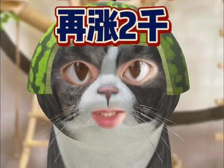 HR报的薪资低于你的期望 不敢开口怕谈崩 这么回答立刻再涨2千 直接抄答案#找工作 #谈薪 #打工人 #跳槽 #面试