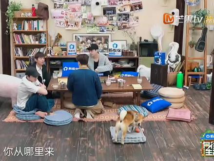 期盼已久Henry回来了🎻🎻🎻❤️