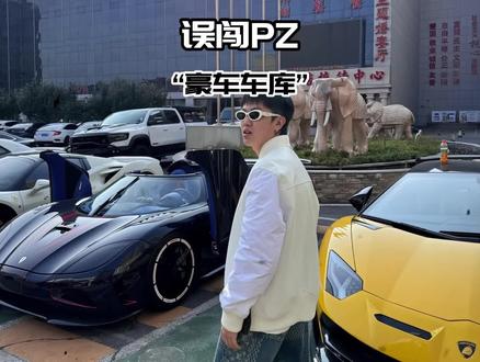 网友误闯祖师爷PZ的车库!#小伊伊