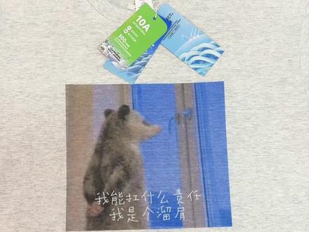 我能扛什么责任,我是溜肩#负鼠 #猫咪t恤