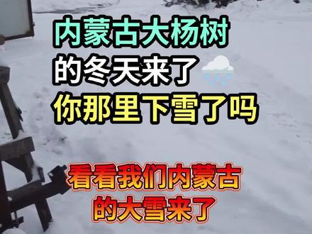 2023年11月2日,内蒙古大杨树的冬天来了,大雪纷飞啊,晚上零下19度,好冷啊 #2023年的第一场雪 #内蒙古呼伦贝尔市鄂伦春自治旗大杨树镇 #你那里下雪了吗 @新疆阿拉尔玲姐 @新疆阿拉尔玲姐