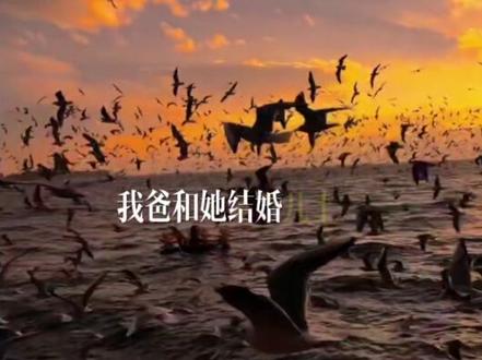 此乃何等国宴#猫小九#猫小天#猫小九之守护校园