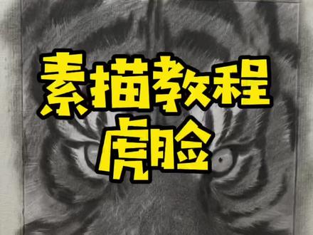 素描老虎面部的简单画法,超真实哦#素描 #素描动物 #来支铅笔素描系列教程 #来支铅笔素描系统课程