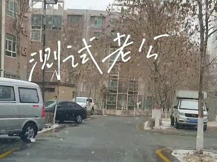 乌龟办走读,鳖不住校了ᕕ(ᐛ)ᕗ