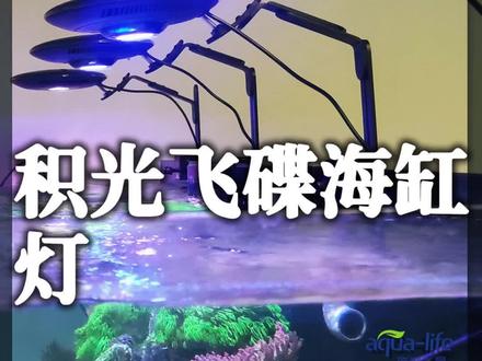 服役了5年的积光飞碟灯,效果还是不错的#水族 #海缸 #鱼缸 #水族器材
