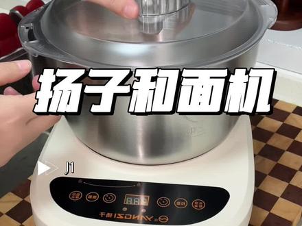 扬子多功能和面机 #扬子多功能和面机 #和面机 #和面机全自动
