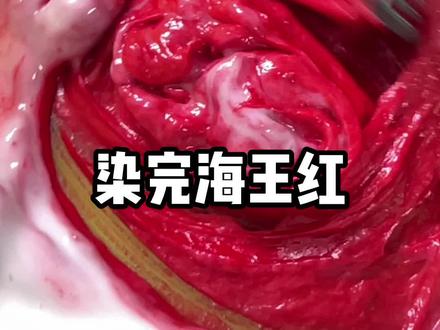 红发一个月的褪色报告,这个头发我是锁死了#海王红 #发色 #越掉越好看的发色 #夏季显白发色