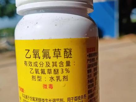 聊聊乙氧氟草醚的巧用妙用和合理使用…
#来抖音学农技 #乡村守护人 #农技轻骑兵 #广东农技服务乡村行 #关注我每天为你分享更多农业知识