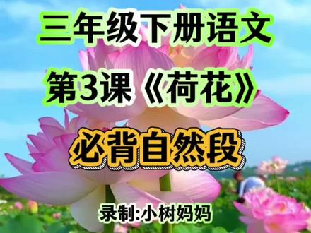 #三年级下册语文 第三课《荷花》必背自然段,收藏起来给孩子学习吧! #课文朗读 #知识点分享