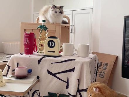 让人无法拒绝的礼物清单和送礼思路~比起礼物本身,礼物的意义更打动人心呀#vlog日常 #开箱 #家居好物 #礼物