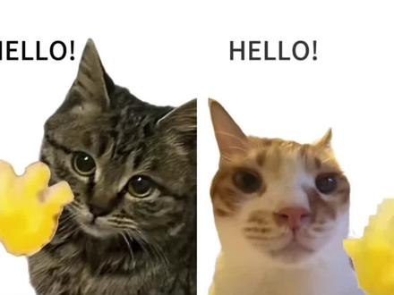 新年就用hello打招呼教程来啦 #hello挥手动作的动画 #小猫hello怎么做 #hello小猫动态图 hello小猫表情包制作教程 hello猫模板下载 hello猫模板怎么用 hello猫表情包 hello猫动态壁纸 #剪映 hello猫背景图 hello猫手机壁纸 hello猫图片大全 hello猫使用教程 #哈基米挥手视频 hello哈基米