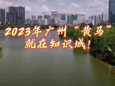 2023年广州黄马就在知识城,起点凤凰湖,终点九龙湖!#2023年广州黄埔马拉松 #马拉松 #广州黄马 #九龙湖 #凤凰河 #平岗河 #知识塔