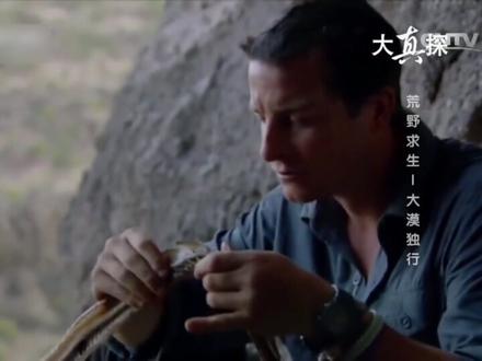 第66集|大漠独行3#荒野求生 #纪录片 #贝爷