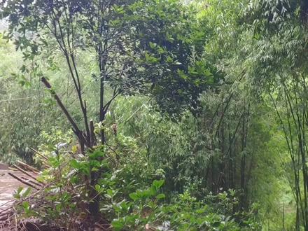 古时候的雨衣:蓑衣,可以防风防雨,防寒保暖,现在已经成了古董