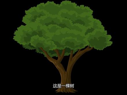 【算法】二叉树的动画讲解(AVL树)