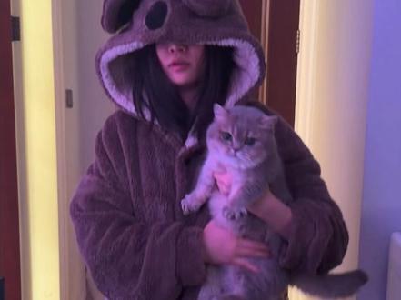 小猫炮弹教程来了 #meme猫表情包 #萌宠发射特技 #萌娃发射特技