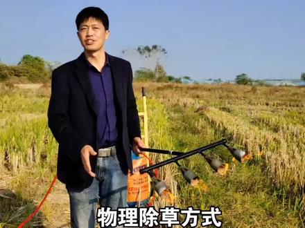 火焰除草土壤消毒,立竿见影势在必行#农村大实话 #三农种植 #除草剂 #除草 #农用机械