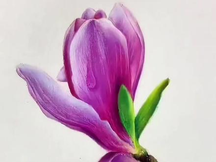 玉兰花这么花,你学废了吗 #彩铅 #画画#美术
