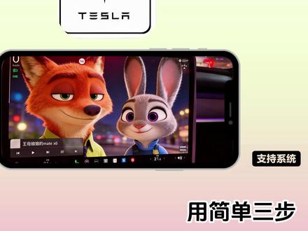 《兰草宝库》特斯拉车机壁纸设置,刚出炉的特斯拉皮肤及换肤教程, 拿走不谢!#特斯拉 #modely #model3#特斯拉改装 #特斯拉更新