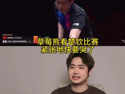 好兄弟草莓熊看王楚钦比赛,紧张的快要哭了!