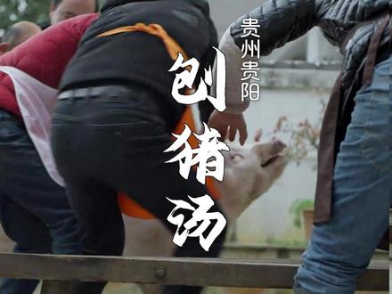 一碗刨猪汤,唤醒舌尖故乡味 #刨猪汤 #贵州美食 #地方特色美食 #贵阳美食