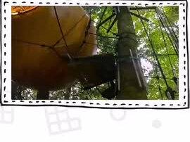 世界上最小的国家#地理知识 #吉尼斯世界纪录大全