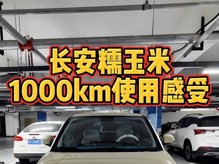 长安糯玉米咋样?#长安糯玉米 #哈尔滨 #新能源汽车