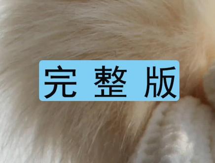 柳叶帽视频教程