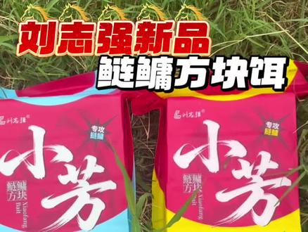 刘志强新品小芳鲢鳙方块饵,无需开饵挂钩即钓,有专攻白鲢的草莓味型及攻花鲢的酸臭味型可选,新手也能轻松上手连杆爆护!#钓鲢鳙 #鲢鳙饵料 #鲢鳙方块饵 #钓鱼人 #刘志强鱼饵