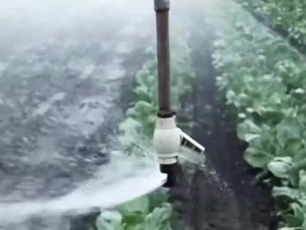 请求中国松绑,印度急需进口尿素!它的缺口有多大? #全球创作者计划 #时代的荣耀 #零基础看懂全球